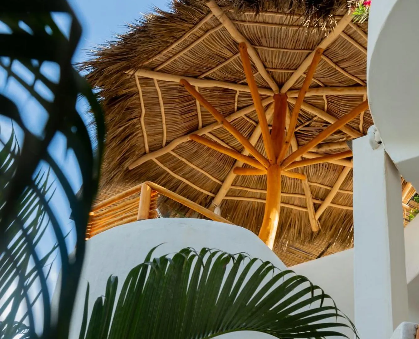 Hotel Amaca Puerto Vallarta - Adults Only